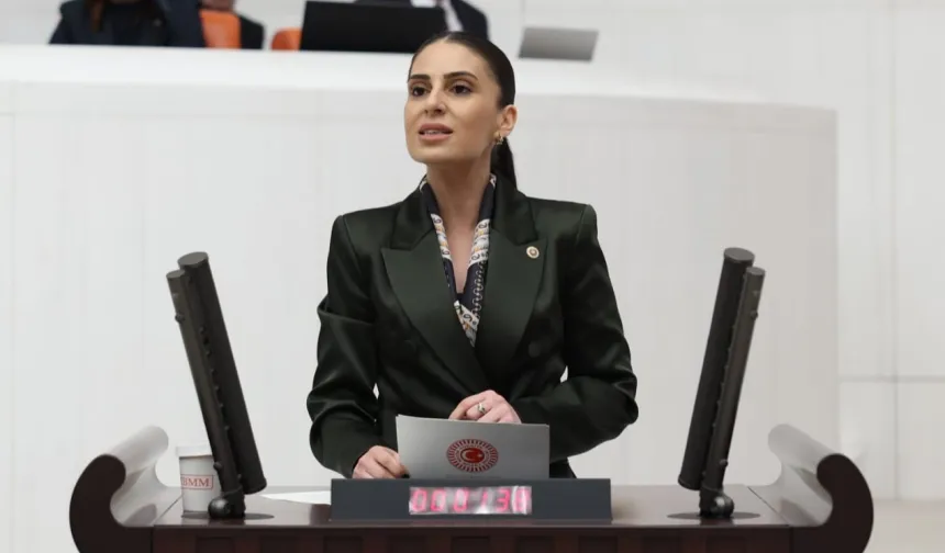 CHP’li Özcan’dan Dalaman Çayı uyarısı