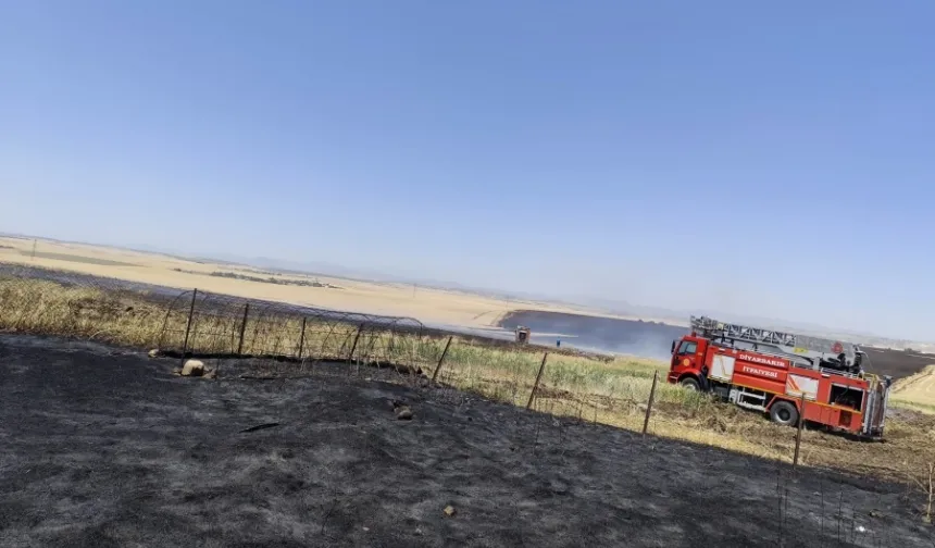 Diyarbakır Büyükşehir'den anız yangınlarına karşı uyarı