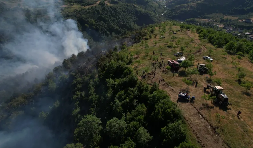 Düzce Yığılca’da orman yangını!