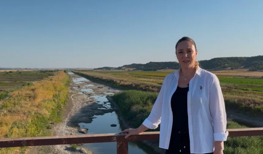Edirne’de çeltik üreticileri alarm veriyor! Ergene Nehri kurudu, tarım tehdit altında
