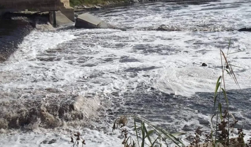 Ergene Nehri’ndeki kirlilik çevre felaketine dönüştü