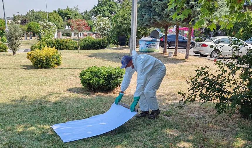İstanbul Büyükşehir'den kene ile mücadele