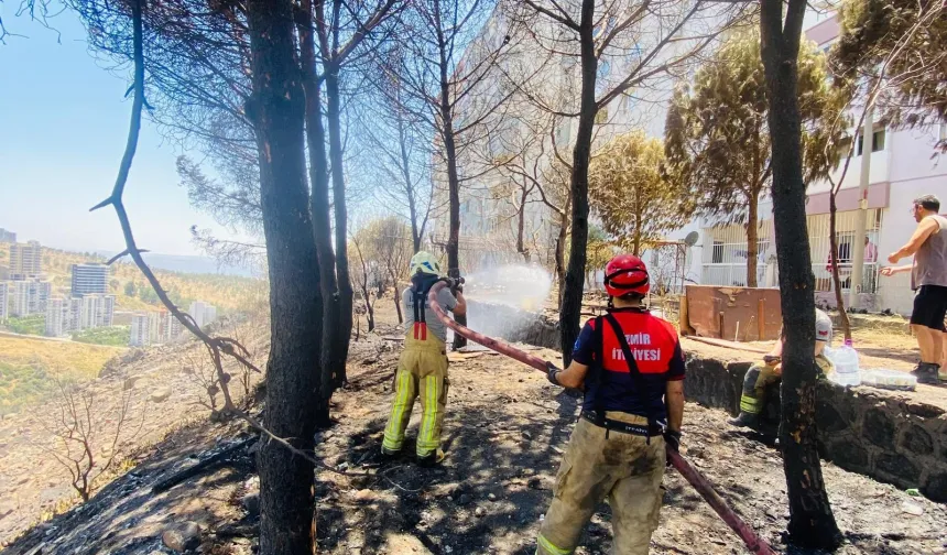 İzmir İtfaiyesi 48 saatte 227 yangına müdahale etti