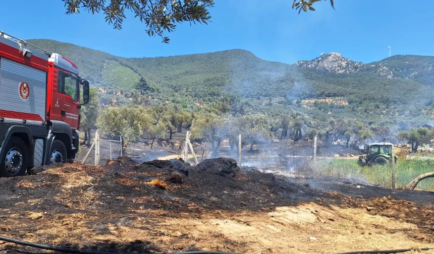 İzmir İtfaiyesi üç noktada yangınlara müdahale etti