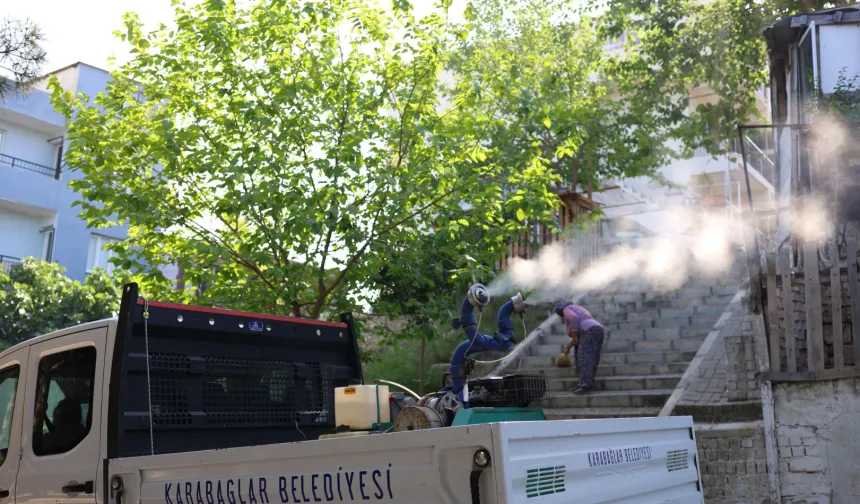İzmir Karabağlar’da haşerelere karşı ilaçlama seferberliği 