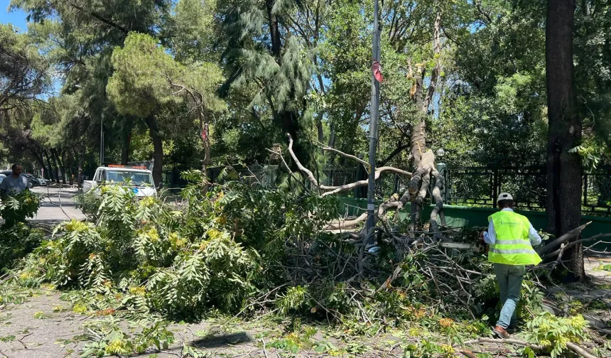 İzmir'de yangın ve fırtınayla mücadele!