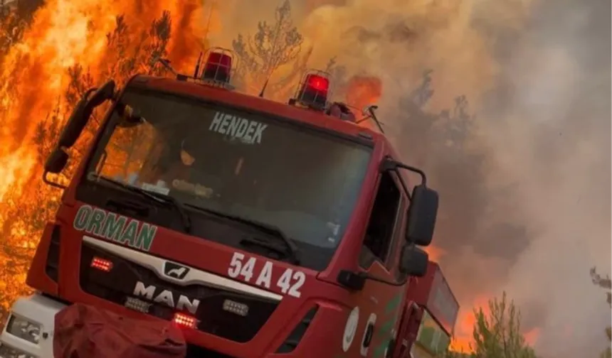 Jandarma’dan orman yangınlarına ilişkin soruşturma: 11 gözaltı!