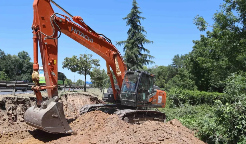 Kocaeli'de sökülen ağaçlar geleceğe taşınıyor