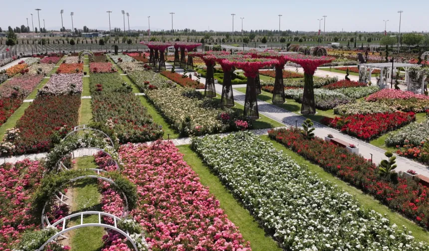 Konya'da Karatay Mevlana Gül Parkı kapılarını açtı