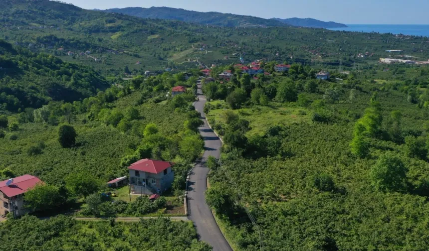Ordu'da Yaraşlı Yolu sıcak asfalta kavuştu