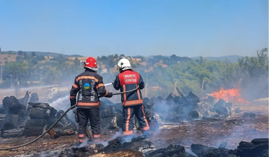 Sakarya Söğütlü’deki orman yangını kontrol altına alındı