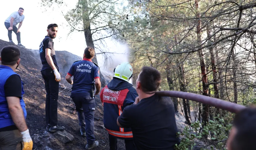Sakarya’daki orman yangını kontrol altında: 3 gözaltı!