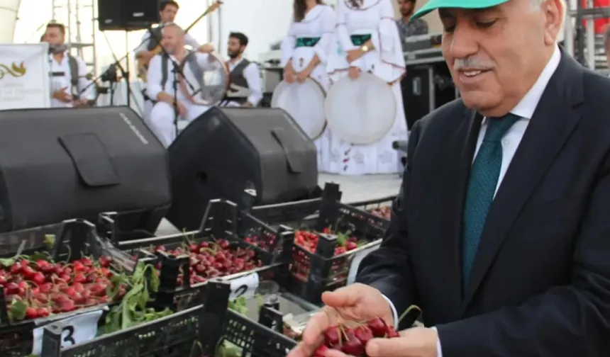 Yeşilli Kiraz Festivali’yle Mardin dünyaya tanıtılıyor