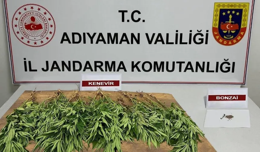 Adıyaman'da uyuşturucu operasyonu: 7 gözaltı