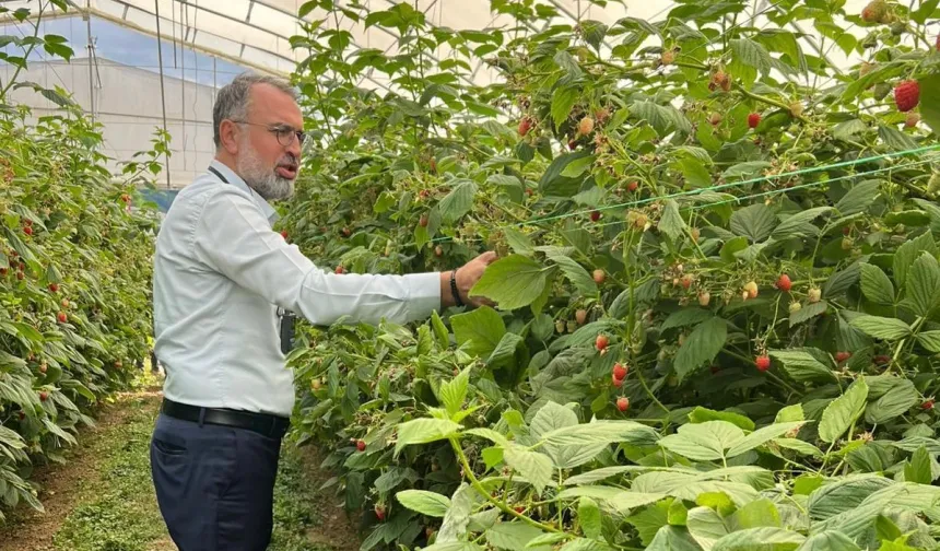Bursa Kestel ve Gürsu’dan Sırbistan’a tarım çıkarması