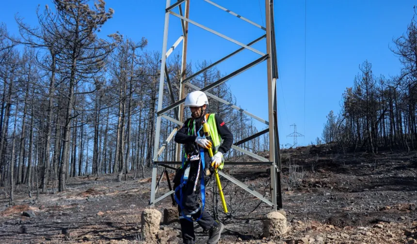 Bursa'daki yangın bölgesinde enerji hatları onarılıyor