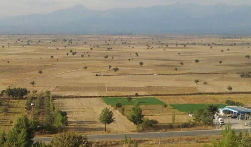 Denizli'de Tavas Ovası kuraklık alarmı veriyor!