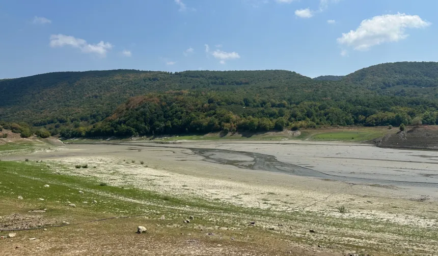 Düzce Hasanlar Barajı’nda su seviyesi kritik!