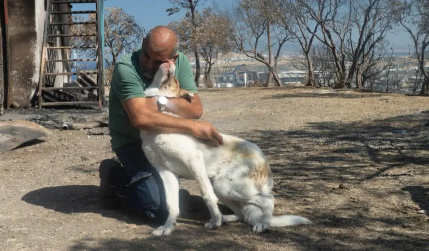 İzmir'de yangından kurtarılan Kaptan'a sıcak yuva