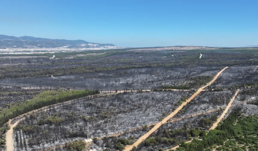İzmir’de yangınlara karşı olağanüstü yol haritası belirlendi