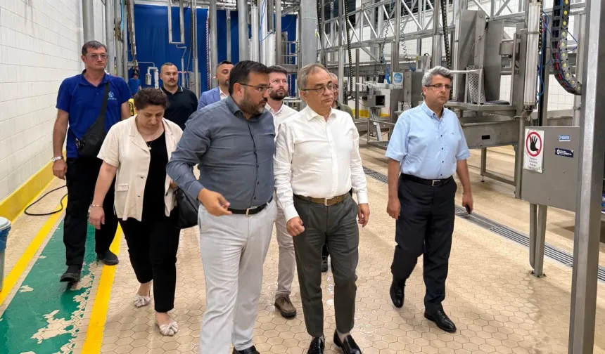 Karamürsel projeleri yerinde takipte
