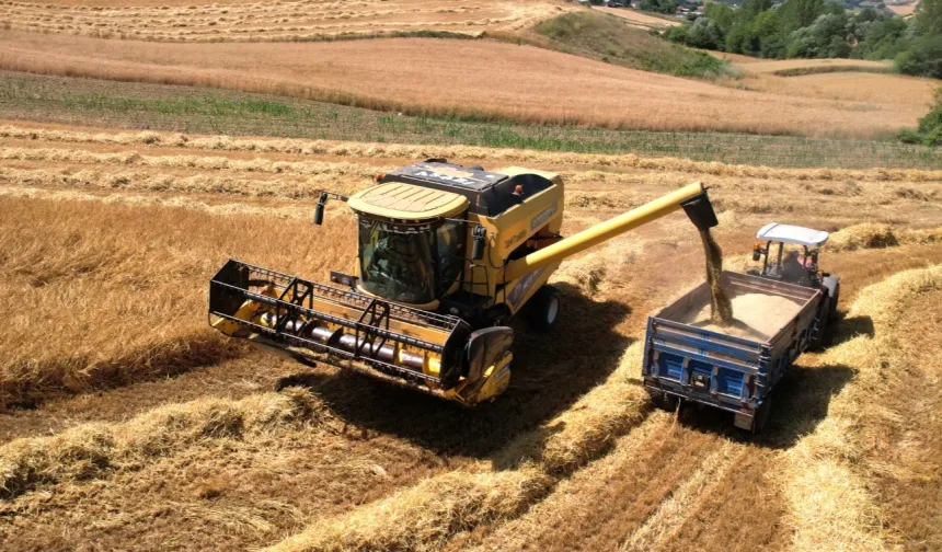 Kocaeli’de 57 bin dekarda hasat sevinci