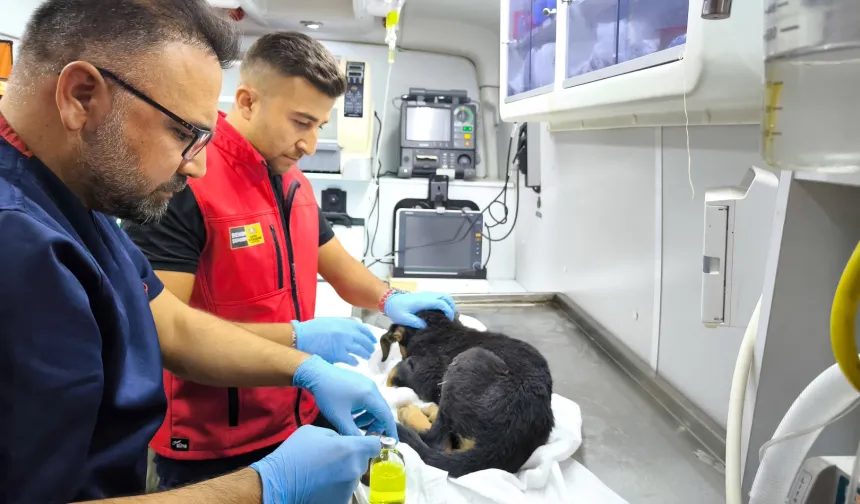 Konya İtfaiyesi’nden yürekleri ısıtan kurtarma operasyonu