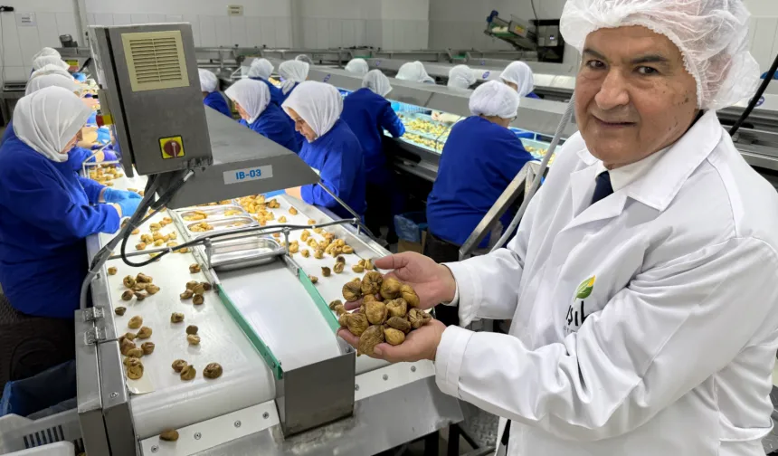 Kuru meyve sektöründe 12 şampiyonun 11’i Egeli
