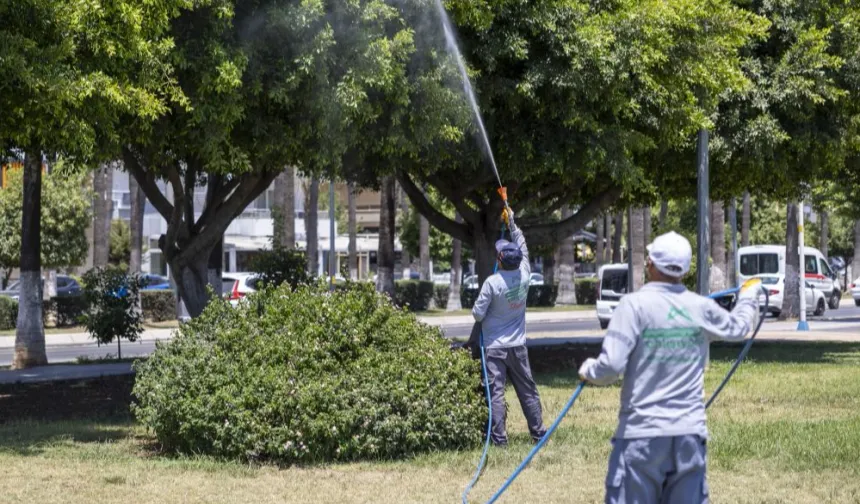 Mersin'de ilaçlama çalışmaları sürüyor