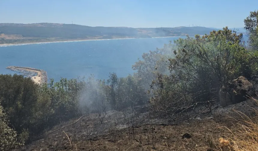 Mudanya kırsalında yangın! Buğday tarlası son anda kurtarıldı