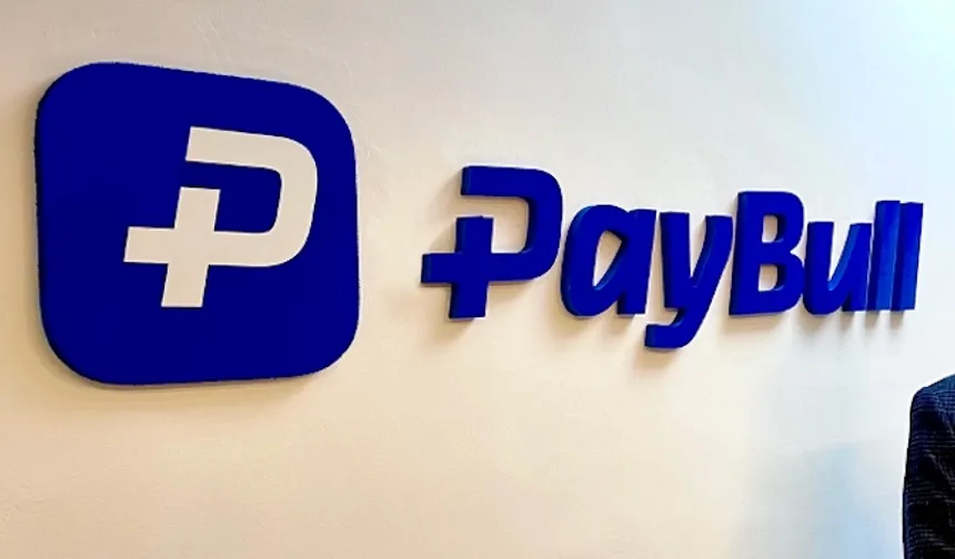 Paybull’un faaliyet izni iptal edildi