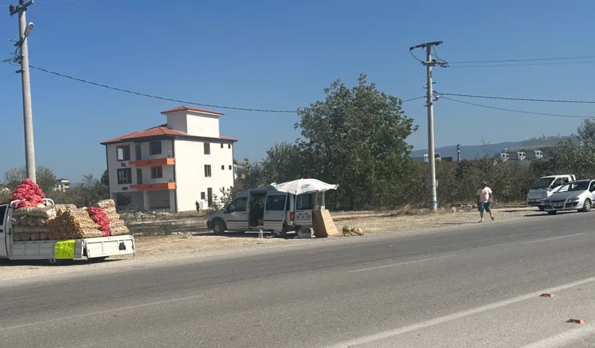 Düzce'de seyyar satıcılara belediye seyirci kalıyor