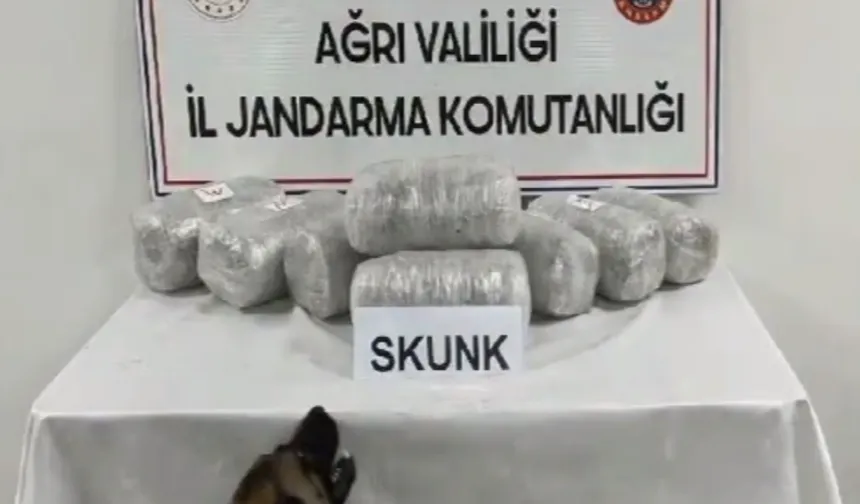 Ağrı'da 10 kilogram skunk ele geçirildi