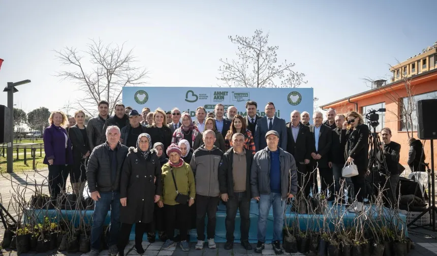 Balıkesir Büyükşehir'den üreticilere 100 incir fidanı