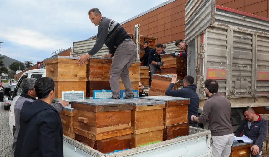 Bursa'da arıcılık Büyükşehir'le canlandı