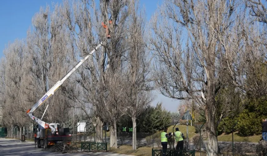 Eskişehir Sazova Parkı'nda çalışmalar devam ediyor