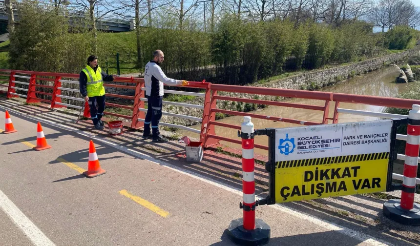 Kocaeli'de Seka Park'a estetik takviye