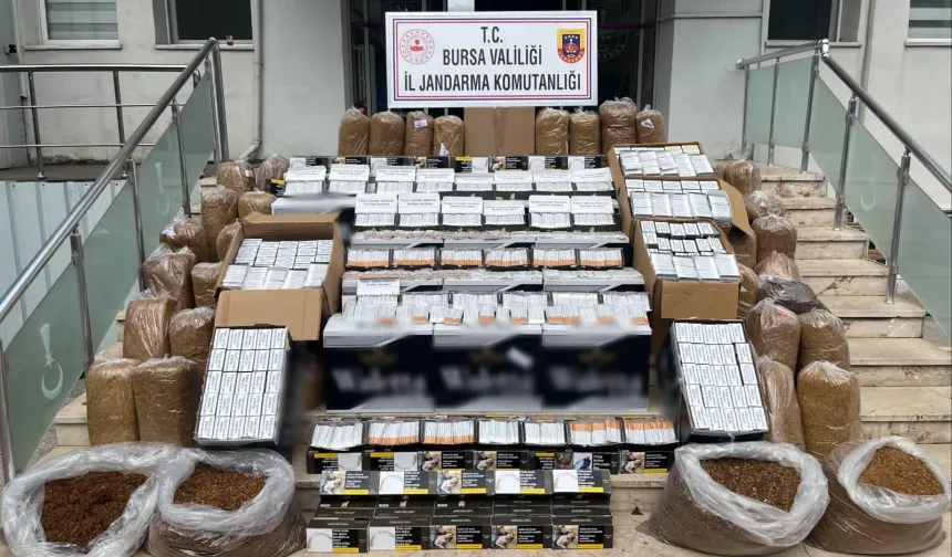 Bursa Gemlik'te kaçak tütün operasyonu