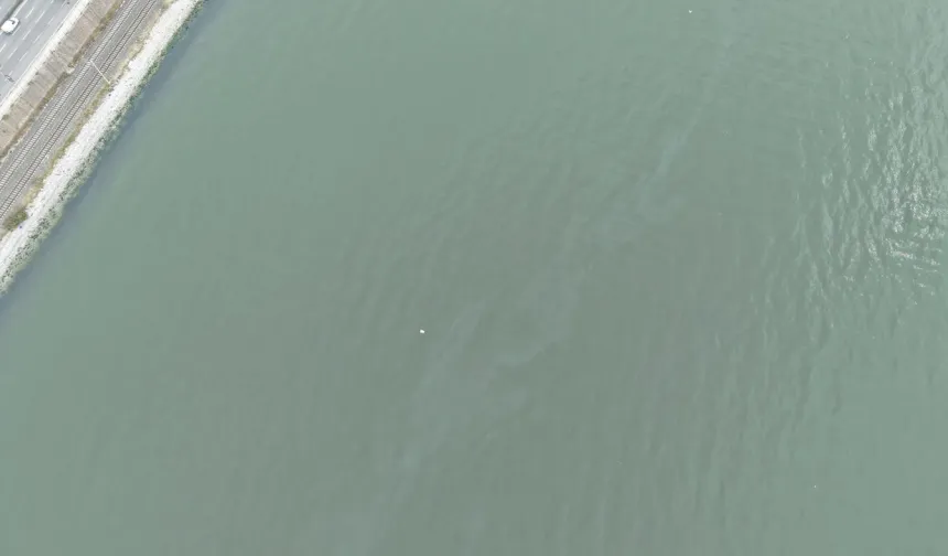 İzmir Körfezi'nde kirlilik endişelendiriyor! Aynı tehdit 11. kez görüldü