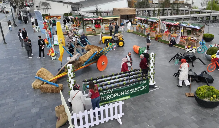 Konya'da tarım haftasına özel tasarımlar ilgi görüyor