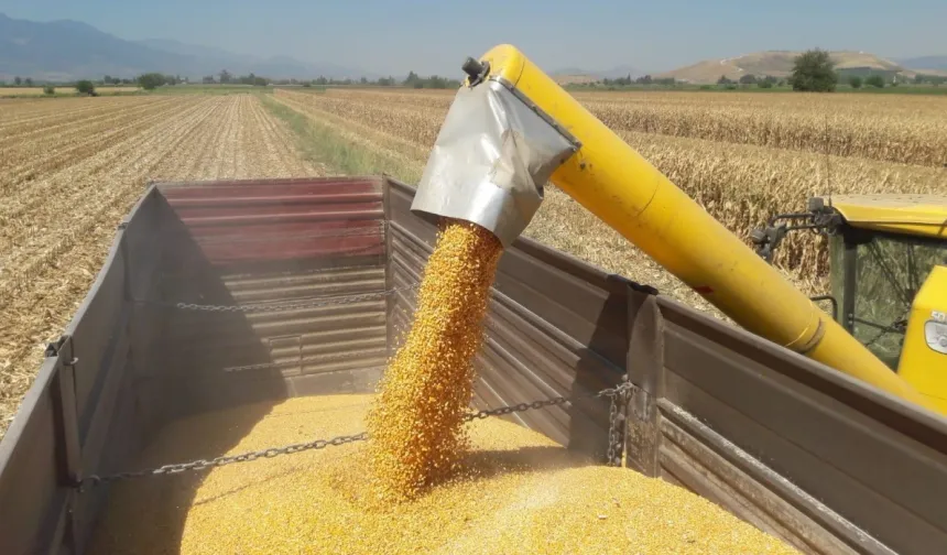 Mısır ithalatına 3 milyon tonluk tarife kontenjanı