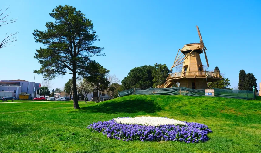 Sakarya'da baharın büyüleyici cümbüşü