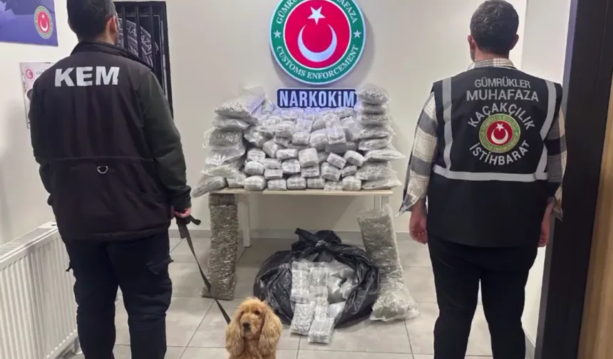 Zehir tacirlerine darbe! 659 kilo uyuşturucu ele geçirildi