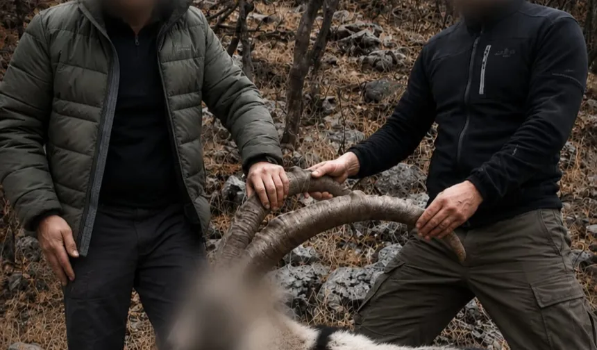 6 yıl önceki kaçak avın failleri tespit edildi! 5 yaban keçisi için ceza uygulandı