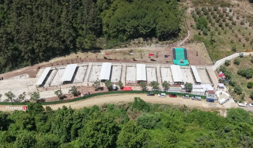 Gemlik'te barınak ziyaretçilere hep açık